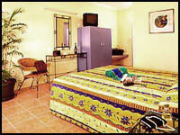 Figtree Lodge Rooms, Cairns Australia