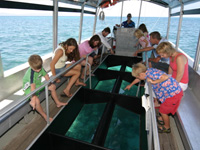 Green Island glass bottom boat